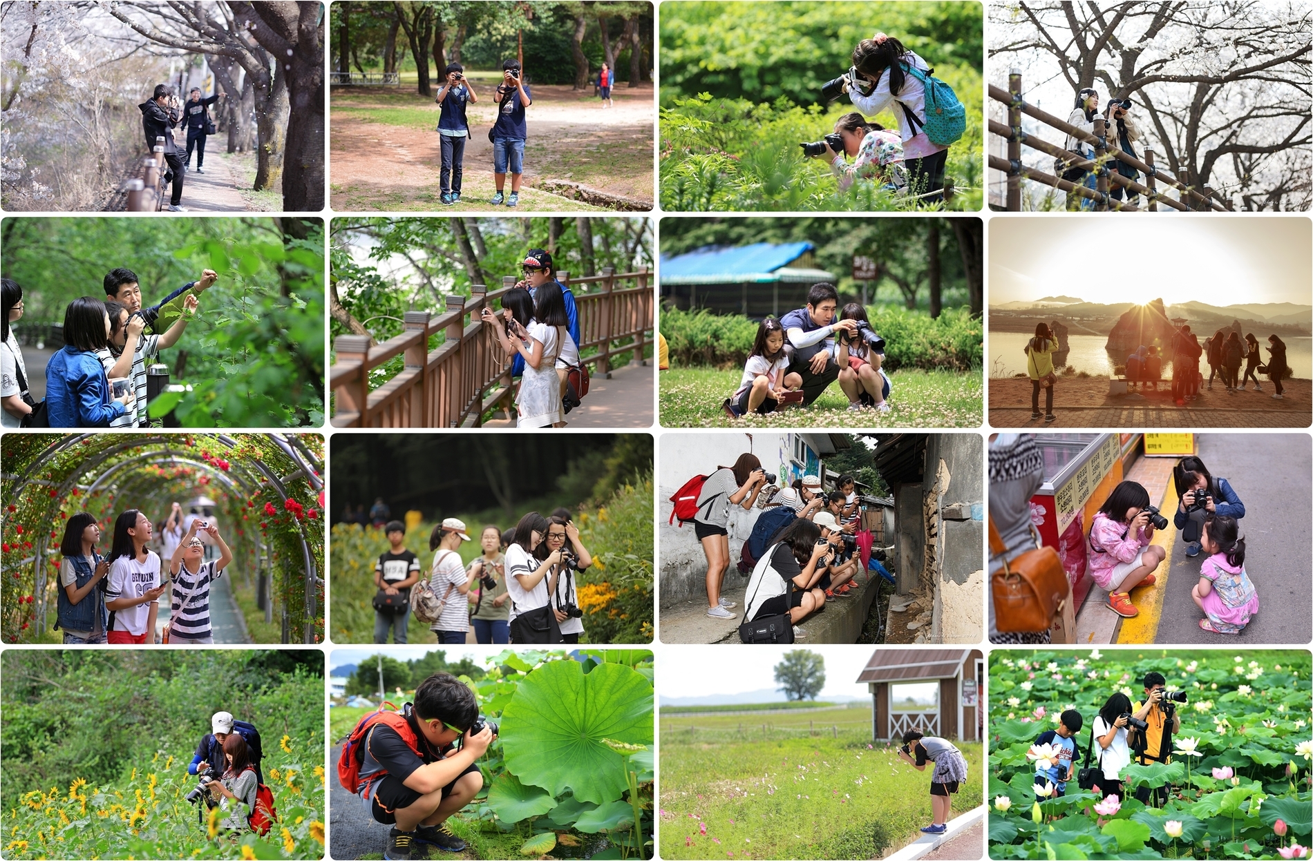 A collage of students taking photographs during Danbit activities · 단빛 사진 활동 중 학생들이 사진을 찍는 모습을 담은 모음 사진